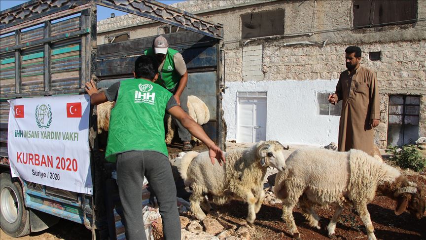 В Турции закупили 7 860 голов скота для распределения среди сирийцев