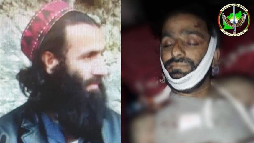 یک عضو ارشد شاخه خراسان داعش در افغانستان کشته شد