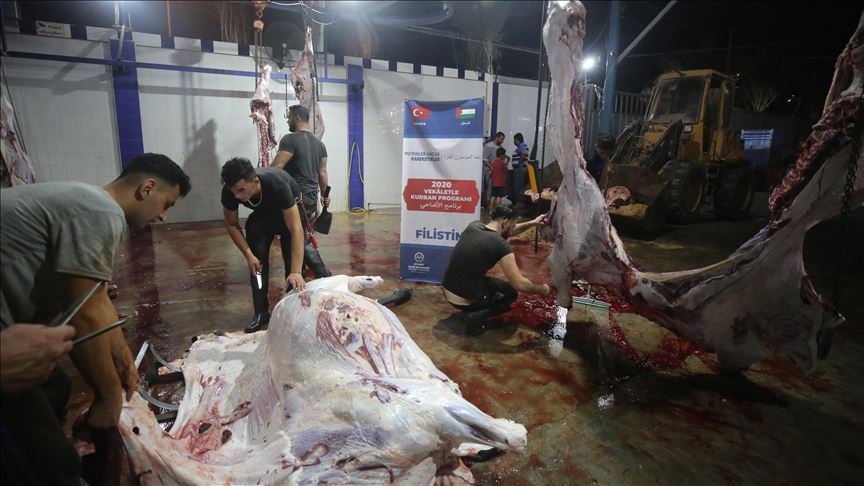 بتمويل تركي.. توزيع لحوم الأضاحي على 4500 أسرة في غزة