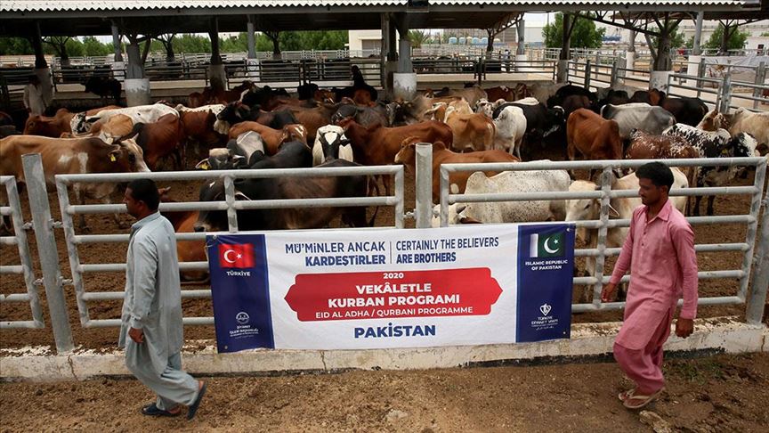 Türkiye Diyanet Vakfı, Pakistan'da 60 bin aileye kurban eti dağıtacak