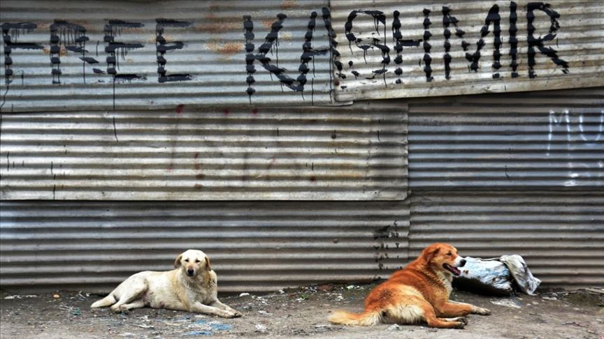 Ha pasado un año desde que la India eliminó el estatus especial de Jammu y Cachemira