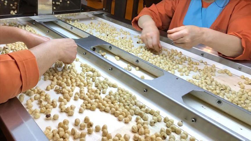Turkey: Hazelnut exports reap $2.2B in Sept-July
