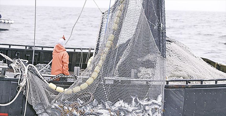 ¿Por qué Ecuador está tan alerta ante la presencia de pesqueros chinos cerca de Galápagos?