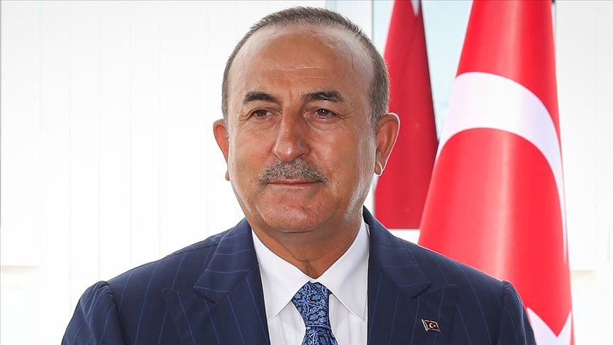 Cavusoglu rencontre le président de Malte, George Vella