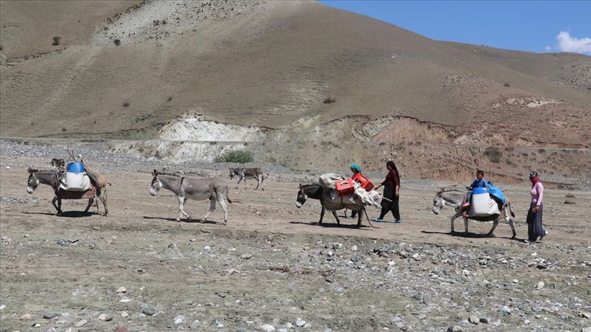 Göçer kadınların eşek sırtında zorlu 'süt' yolculuğu