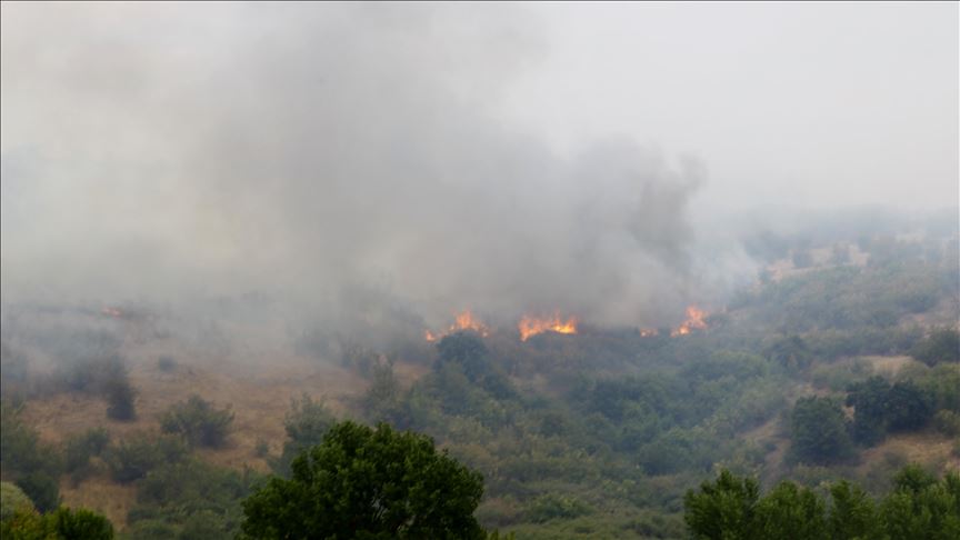 تدابير تركية على حدود بلغاريا لمنع تمدد الحرائق إلى أراضيها