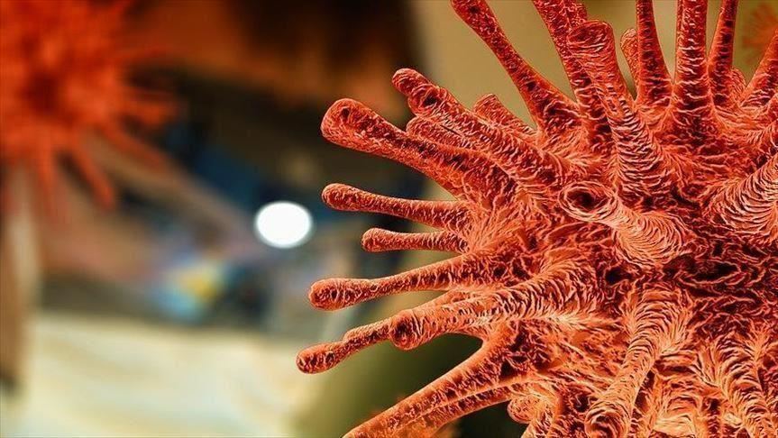 St. Tropez, Paris, mandates masks as infections rise