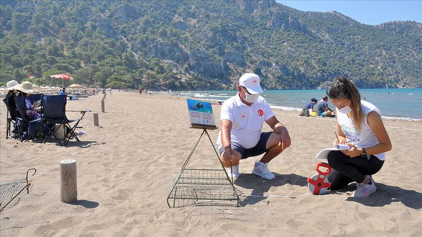 İztuzu Plajı'nda 744 caretta caretta yuvasıyla rekor kırıldı 