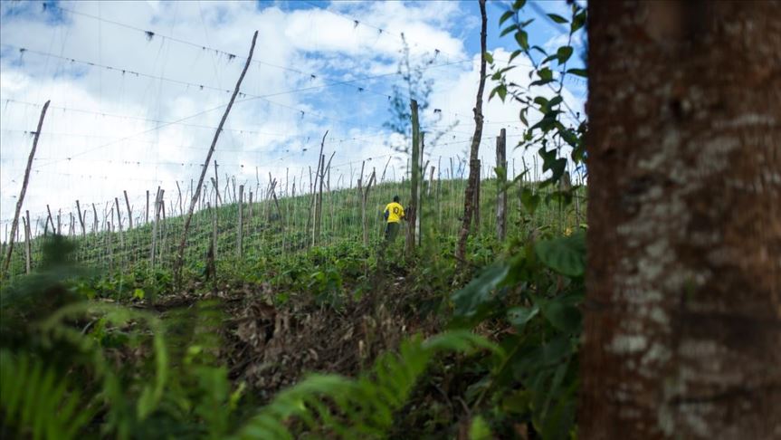 En Colombia denuncian el asesinato de dos niños por grupos criminales