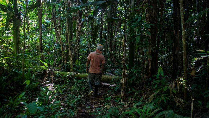 Países suramericanos refrendarán el compromiso político por la conservación de la Amazonía