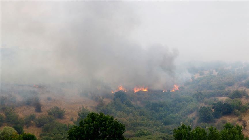 Изгаснат пожар во близина на бугарско-турската граница 