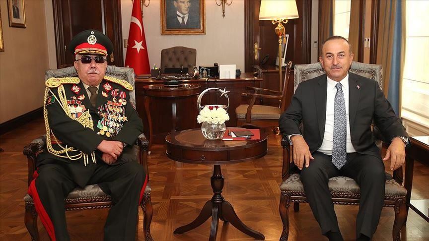 Turkish foreign minister receives former Afghan VP