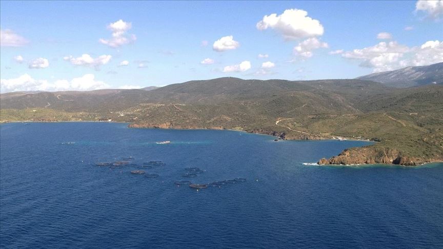 Experto: escalada en la tensión en el Mediterráneo Oriental podría hacer que Grecia pierda sus islas