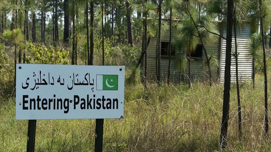 Pakistan's checkered journey from using thorns to nuclear power