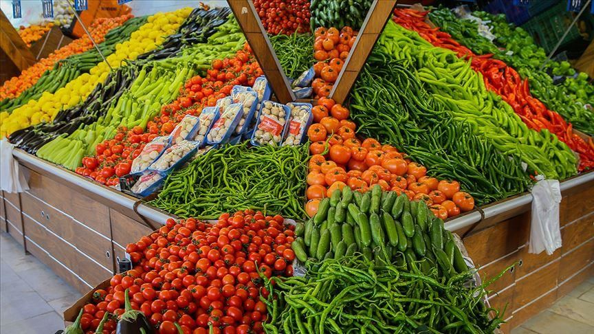 افزایش 25.5 درصدی صادرات میوه و سبزیجات ترکیه