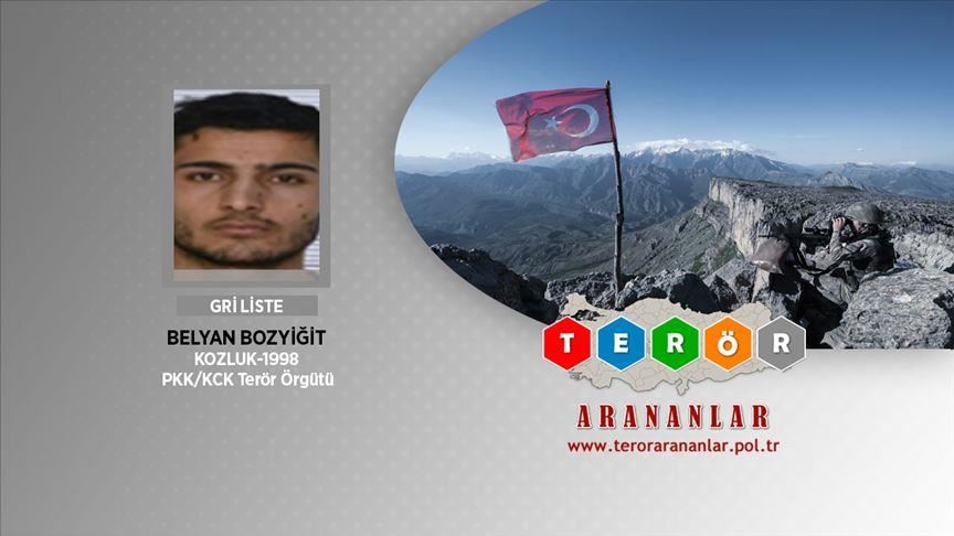 Wanted terrorist among 'neutralized' in Turkey