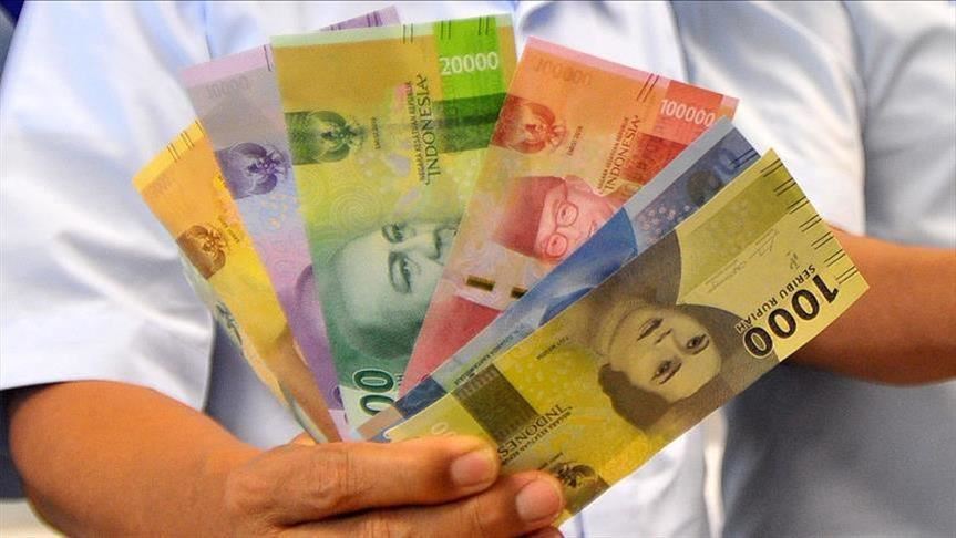 Neraca Pembayaran Indonesia surplus USD9,2 miliar kuartal kedua 2020