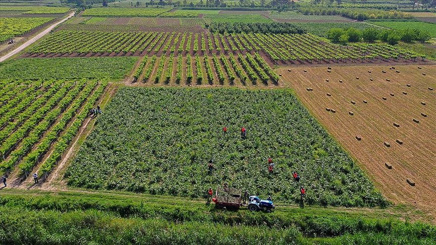 Çiftçi Kayıt Sistemi'ne başvuru süresi uzatıldı