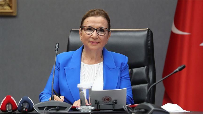 Turquie : volume de 13,2 milliards de dollars du e-commerce durant la première moitié de 2020