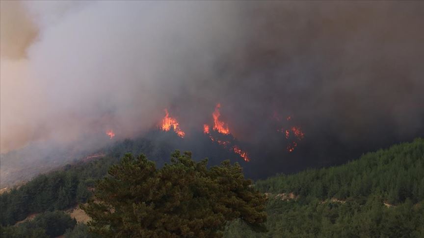 Adana'daki orman yangınında 6 köy boşaltıldı