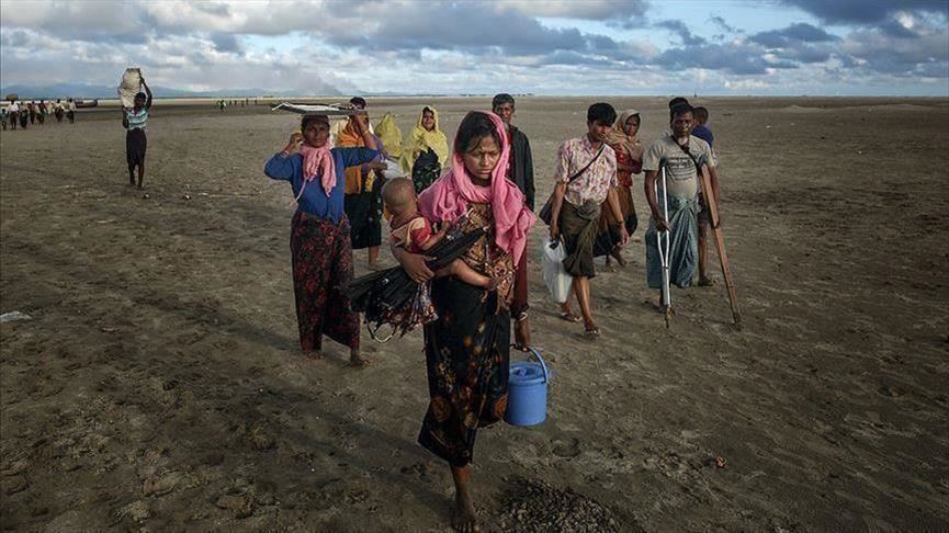 Hate campaign haunts Rohingya refugees in India
