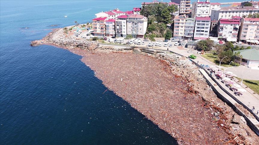 Giresun'da sahil selin sürüklediği odun parçaları ile kaplandı