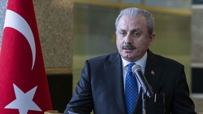 رئیس مجلس ترکیه: مصر، امارات و فرانسه به دولت مشروع لیبی احترام بگذارند