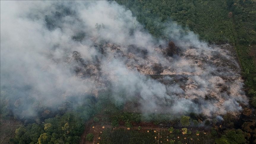 Indonesia tekan kasus kebakaran hutan untuk turunkan emisi karbon