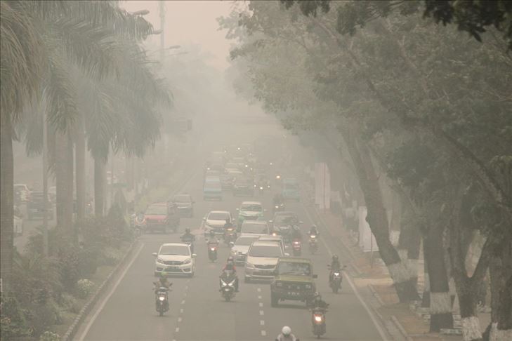 Indonesia jadi negara penerima dana emisi karbon terbesar