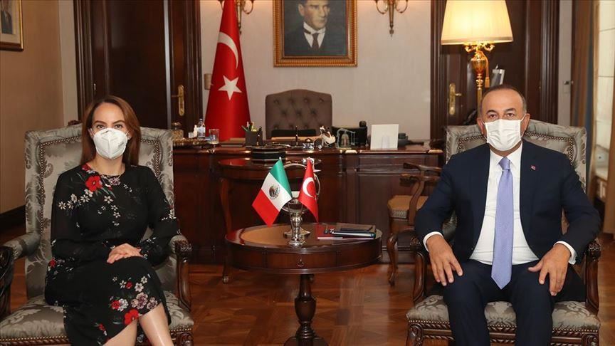 Turkish top diplomat meets inter-parliamentary head