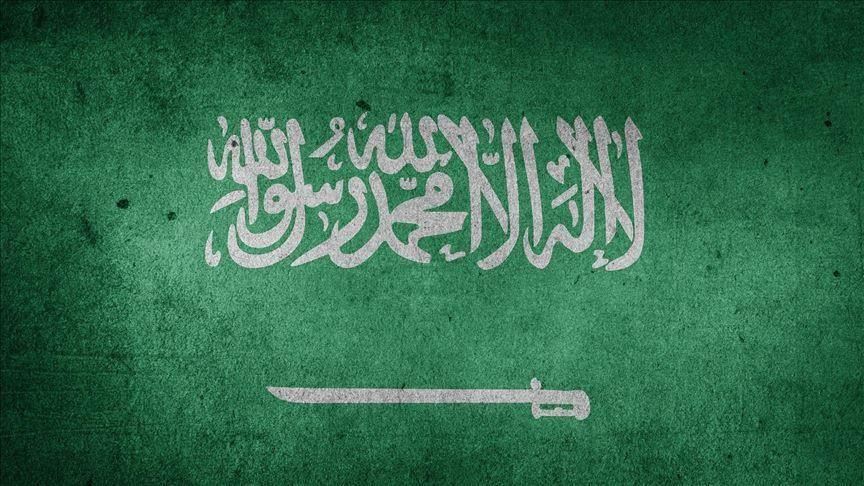 Saudi Arabia fires two royals over corruption 
