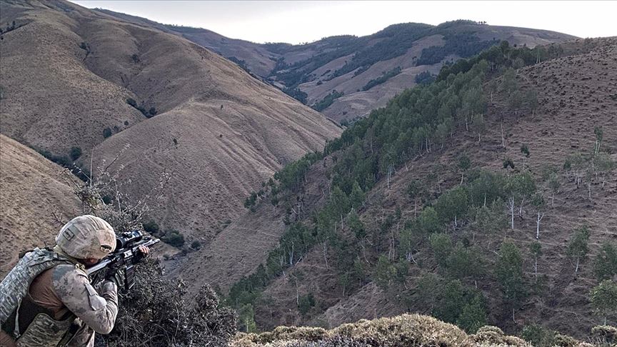 Bingöl, Diyarbakır ve Muş'ta 'Yıldırım-9 Şenyayla Operasyonu' başladı