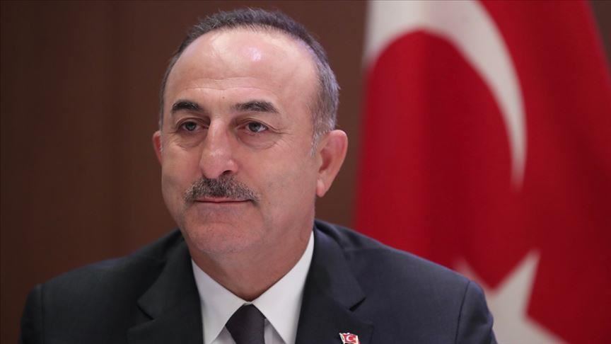 Turkish foreign minister attends virtual G20 meeting