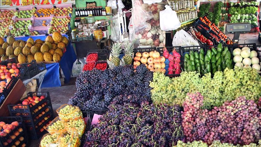 Batı Akdeniz'den yaş sebze meyve ihracatı yüzde 26 arttı 