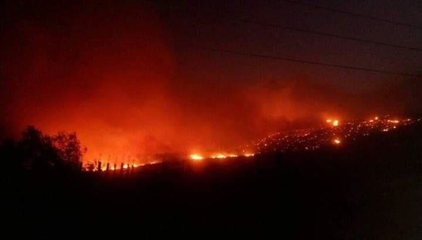 سوريا.. جهود لإطفاء حريق امتد من شرقي اللاذقية إلى ريف حماة