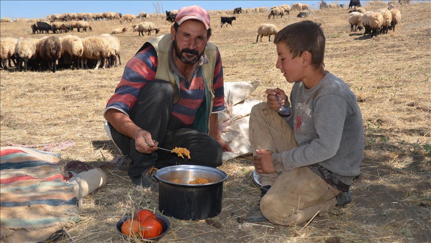 مووش.. کۆچەرییەکان دەست بە گەڕانەوە دەکەن