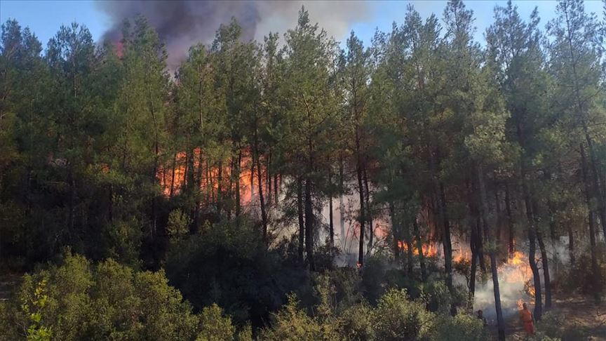Muğla'da çıkan dördüncü orman yangını da kontrol altına alındı
