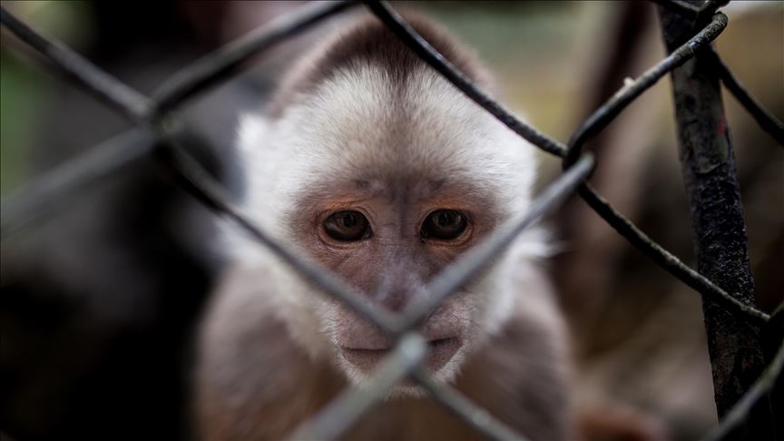 América Latina registra la mayor pérdida de biodiversidad del mundo desde 1970