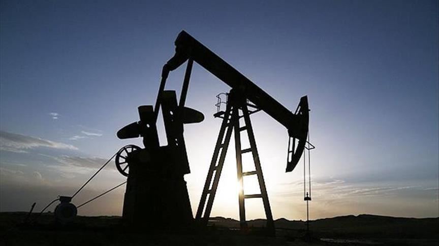 EIA revises up Brent oil forecast by $0.48 for 2020