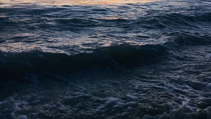 Shipping authority lists causes of Mauritius oil spill