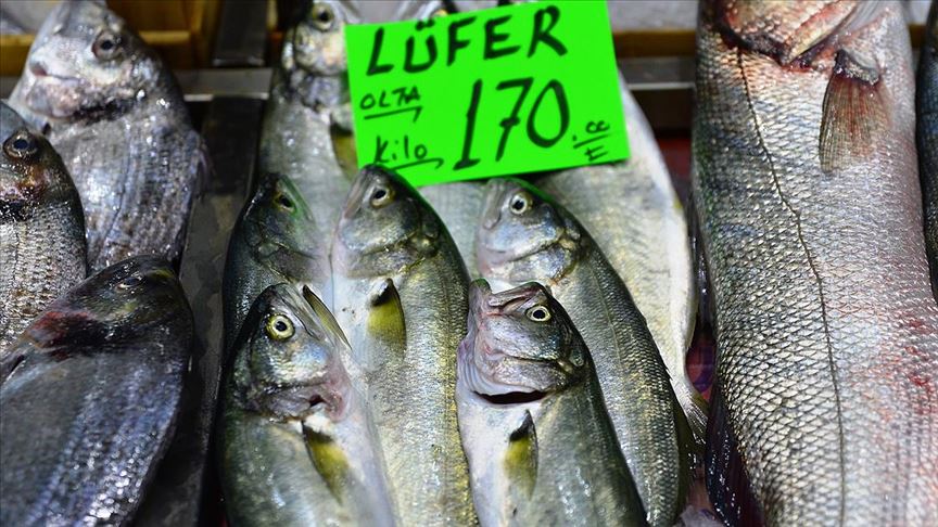 denizlerin prensi lufer kilogrami 170