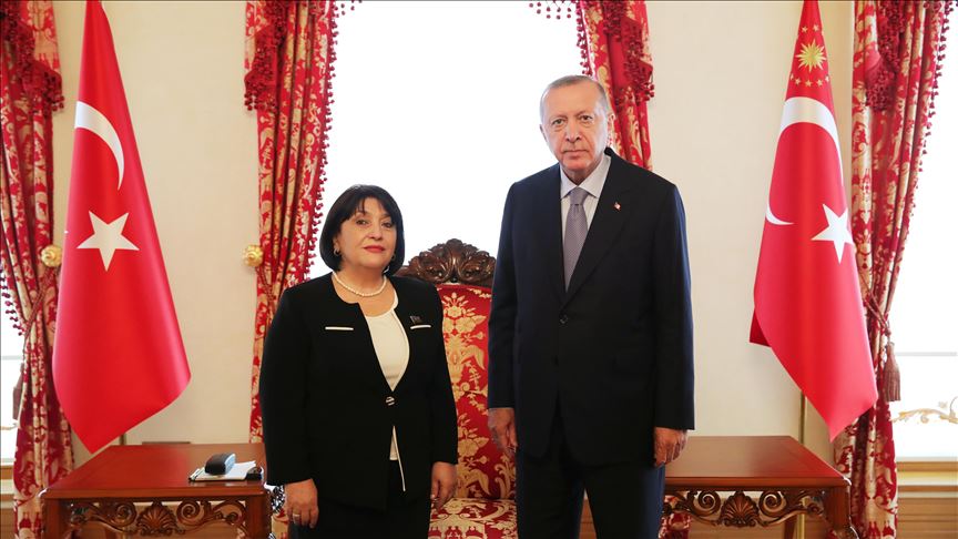 دیدار اردوغان با رئیس مجلس جمهوری آذربایجان
