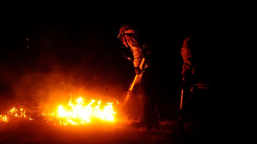 En España casi 50 mil hectáreas de bosques han sido arrasadas por incendios forestales en 2020
