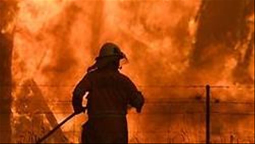 Fires in Brazil burn part of world's largest wetland