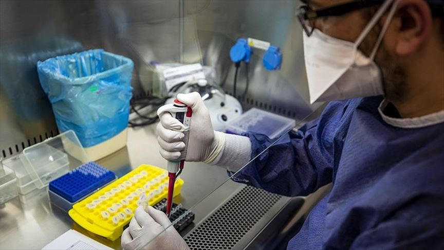 Universidad de EEUU encuentra una molécula capaz de prevenir y tratar la infección por coronavirus 