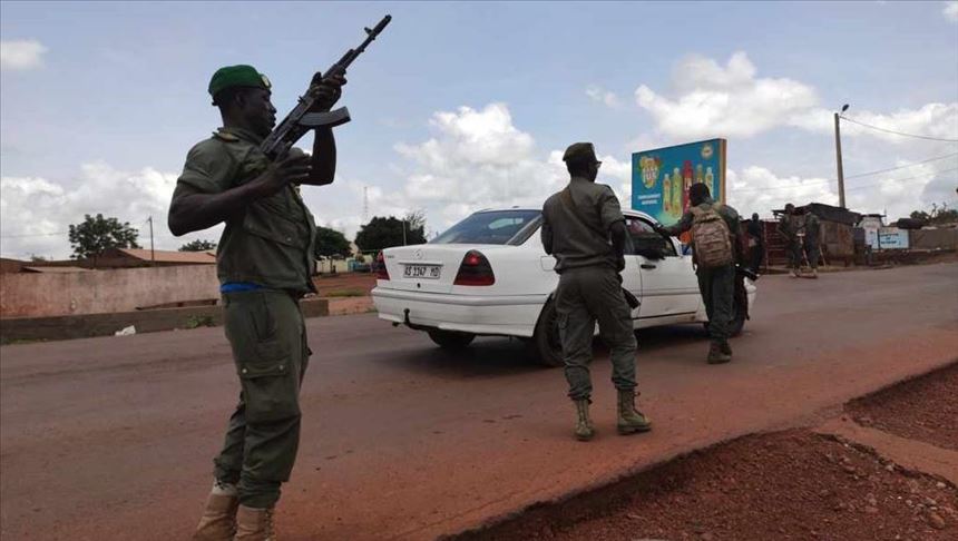 W.African body urges for transitional gov't in Mali