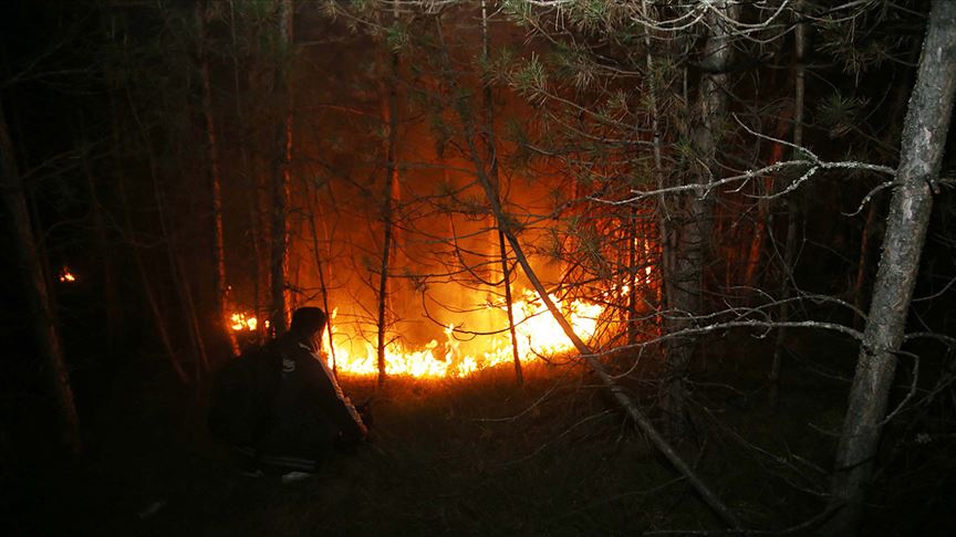 Kastamonu'da ormanlık alanda çıkan yangın kontrol altına alındı 