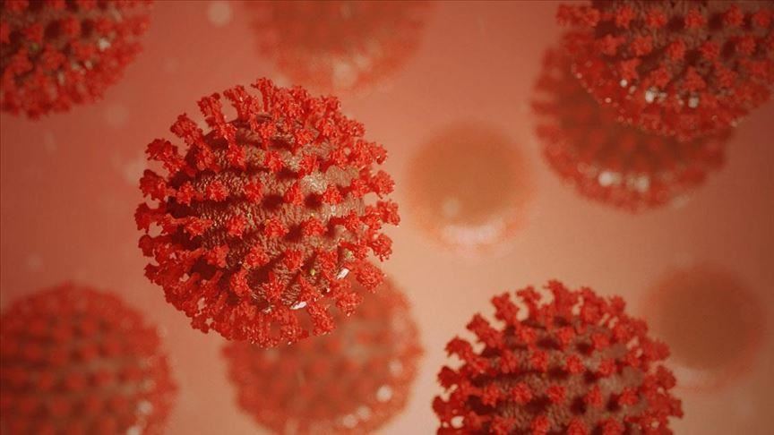 Coronavirus continues to impact South America