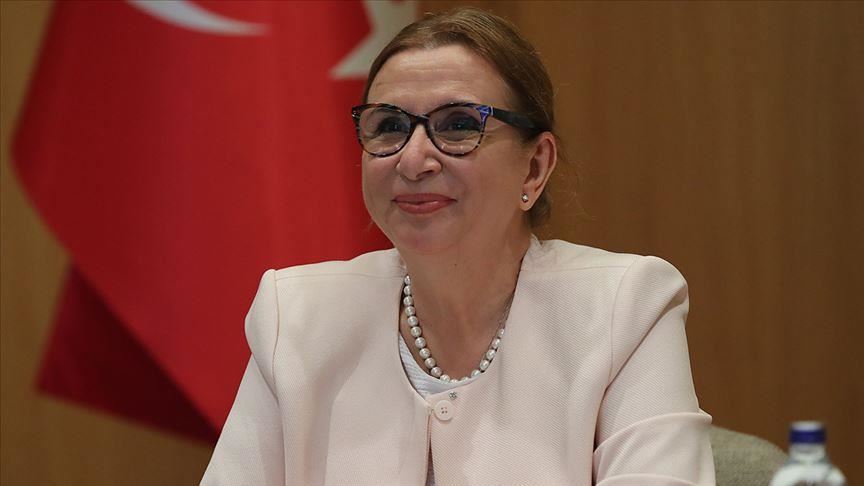 Trade chief: Turkey to continue to oppose protectionism