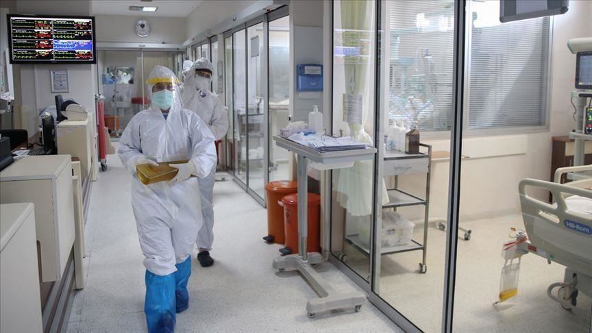 В Турции от COVID-19 вылечились свыше 273 тыс человек